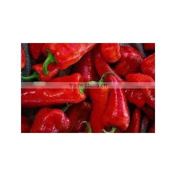 Oleoresin Capsicum Case No : 5269