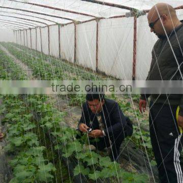 High Quality HDPE Knotted Plant Climbing BOP Net/trellis Knotted BOP Plant Support Net