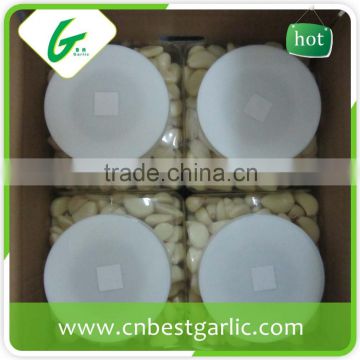 Fresh peeled garlic bag packing