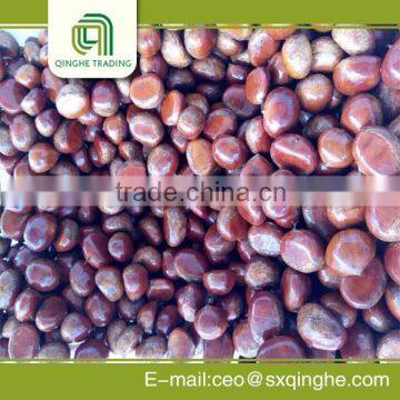 Bulk Chestnut With Great Price