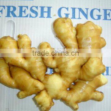 Fresh Washed Ginger photo-2