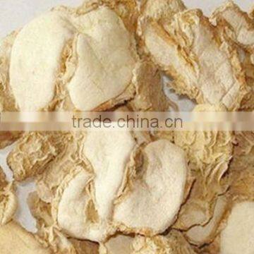 Chinese High Quality New Crop Zingibers