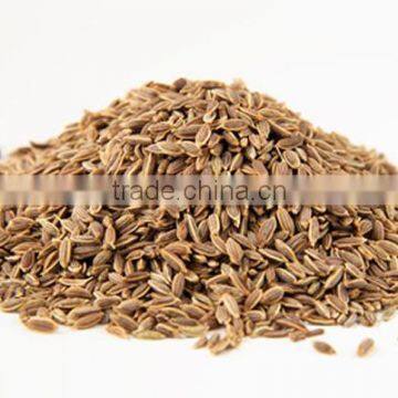 Dill Seeds