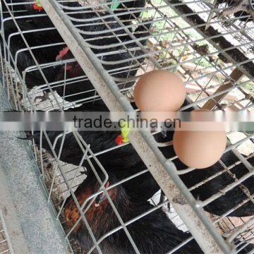 Zimbabwe Poultry Cage Dip Hot Chicken