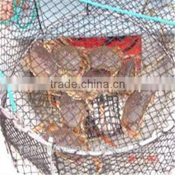 fishing trap lobster trap in hot sale