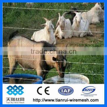 Animal Fence/ Field Fence/ Grassland fence (ISO9001)