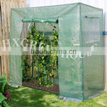 Planting Tomatos in the tomato Greenhouse