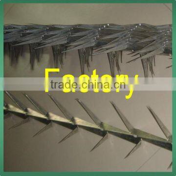Anti Climb Sharp Wall Spike on Top of Wall and Fence photo-3