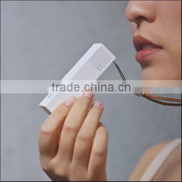 Newest Wearable Air Purification Apparatus Minimum USB Minus-Ion Air Purification Apparatus