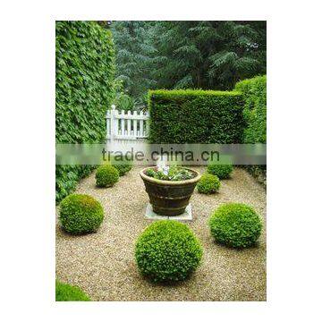 Plastic Material and Ornaments Type Artificial boxwood Panel