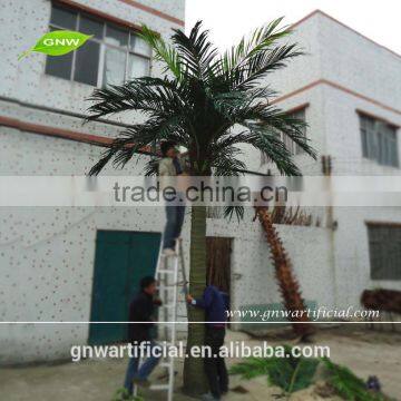 Plastic Indoor Artificial Coconut Palm Tree Size Between 2m and 10m Factory Wholesale photo-2
