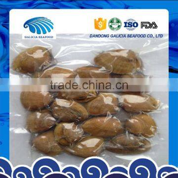 Frozen Clam Variety Surf Clam