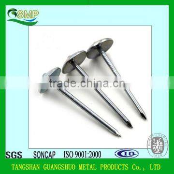 Umbrella Head Twist/Screw/smooth Shank Roofing Nails with washer