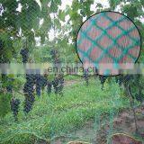 Agricultural plastic netting knitted anti bird net for vineyard