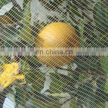 Hot sale Virgin HDPE hail guard net