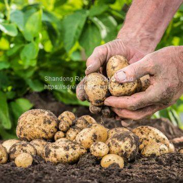 OEM Potato Chips With Various Flavors photo-4