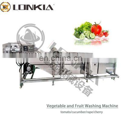 Frozen vegetable Washing Processing Line Fruit Washing Production Line washing and drying line for salad