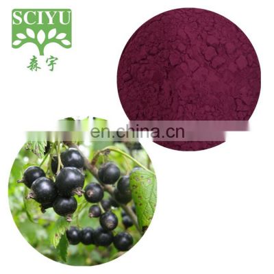 Black Currant Extract Black Currant Fruit Powder