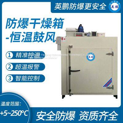 Guangzhou Yingpeng explosion-proof constant temperature blast drying oven 250L