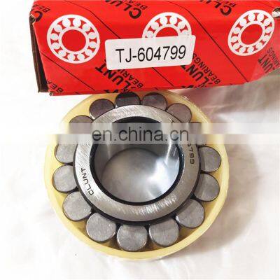 China Supplier Cylindrical Roller Bearing TJ-604799 Bearing