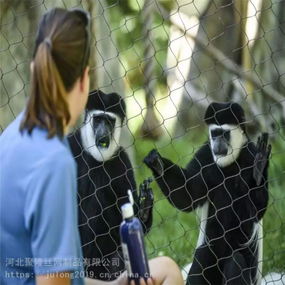 304 316 316L High Strength Stainless Steel Cable Wire Rope Mesh Net for Aviary Zoo Mesh