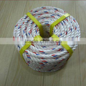 PP Danline Rope