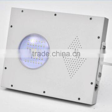 Hot Sales Ultra-High-Performance Brightness Garden Solar Lights Sale photo-4