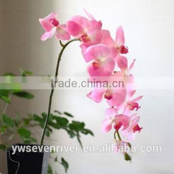 High simulation butterfly orchid a plastic handle Great branches 11 head simulation flowers/wedding decoration