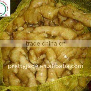 provide fresh chinese yellow ginger