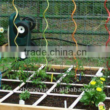 galvanized &PVC coated tomato spiral plant growing wire