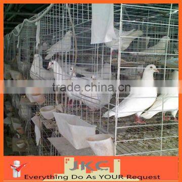 Metal Cage Aviary Mesh Welded Wire Mesh Roll Bird Cage