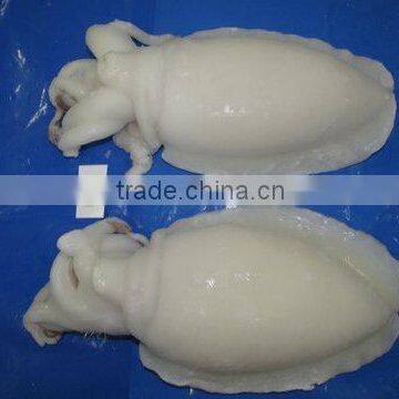 FROZEN CUTTLEFISH WHOLE CLEANED I F photo-5