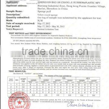 Dermal Irritation Test