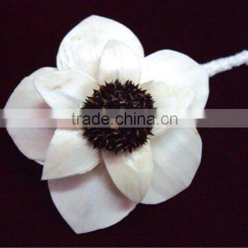 Handmade sola flower