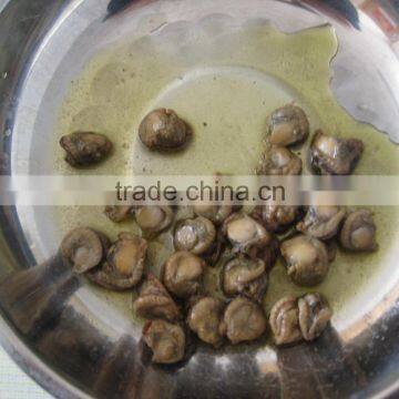 High Quality Canned Boiled Scallops With Brine photo-2