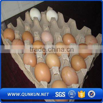 wholesalers eggs plastic tray