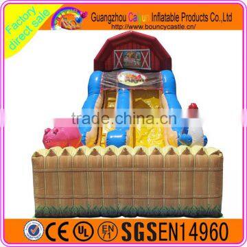 Inflatable Water Slide Classic Design for Kids Hot Sales photo-3