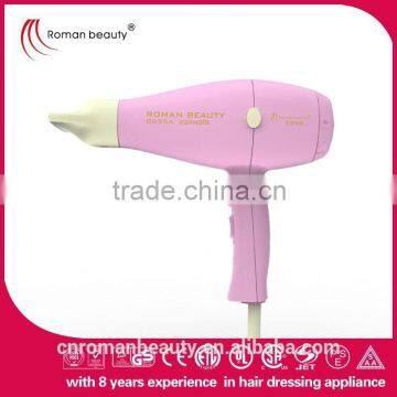 Promotional Foldable hair dryer wholesalestand hair salon hood dryer hair dryer RM-D05                        
                                                Quality Choice