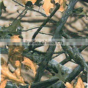 China Hydro Dip Kit / Films/activator/dipping Tanks photo-6