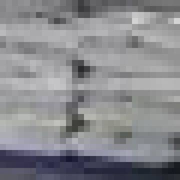 VIETNAM DESSICATED COCONUT HIGH FAT BEST QUANLITY photo-4