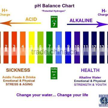 Alkaline Filter photo-3