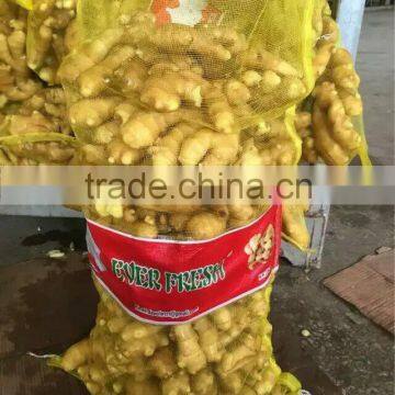 Supply Chinese Fresh Ginger With Good Quality for Sale