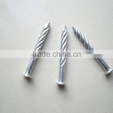 Zinc-coated Screw Nails photo-3