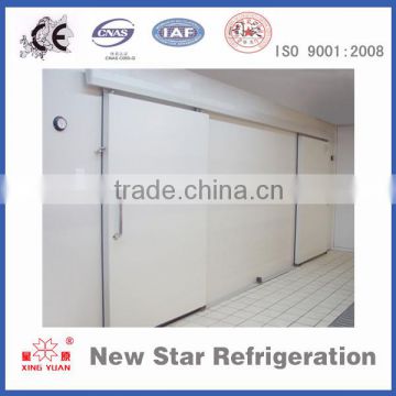 Pre-painted galvanized steel/stainless steel door design for cold room/ cold storage