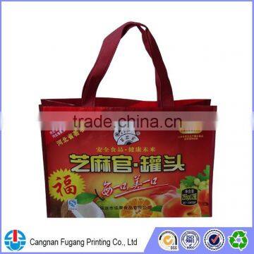 Eco-friendly Pp Non Woven Shopping Bag