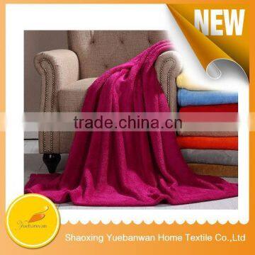 New Products Shaoxing supplier Plain dyed pet blanket