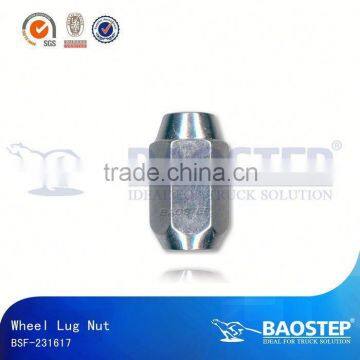 BAOSTEP Quality Assured High Rockwell Hardness Auto Parts Manufacturer Fixing Nut