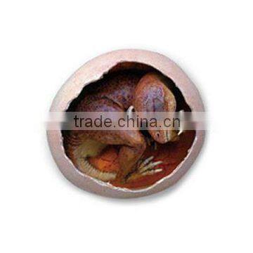 Dino Egg Dig Kits Dinosaur Baby Model photo-5