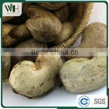 Cambodia For Sale Cashew With Shell