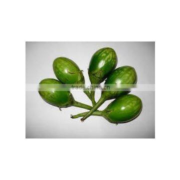GREEN BRINJAL INDIAN